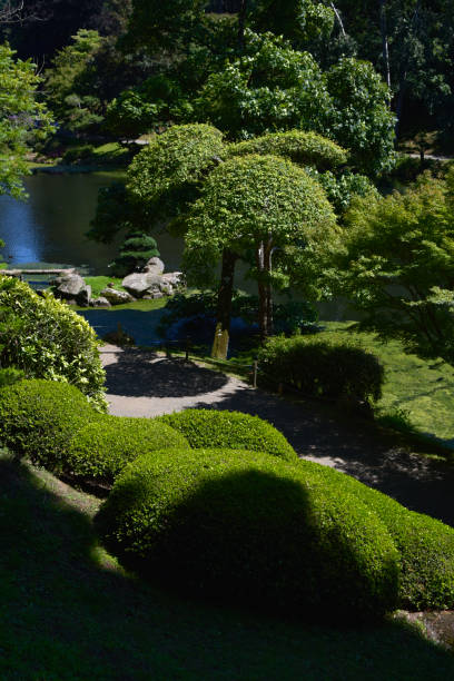 istock Oriental Botanical Garden 1334159029