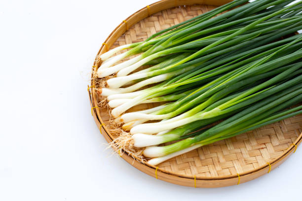 istock Spring onions in bamboo basket on white background 1334159693