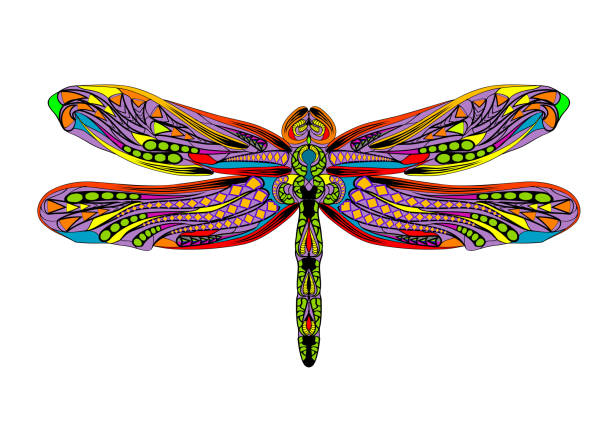 dragonfly ethnic illustration dragonfly ethnic illustration isolated on white background dragonfly drawing stock illustrations