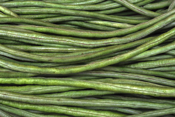 close up of a retail display of a pile of long beans  for sale by a street vendor, Chinatown, Manhattan, NYC
