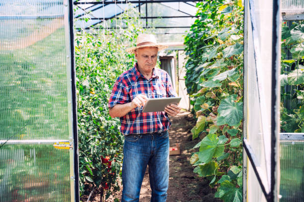 istock Farmer with digital tablet in Greenhouse. Copy space. 1334166132