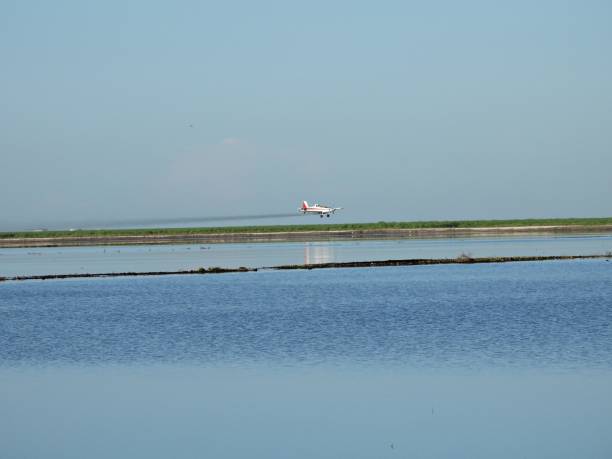 istock Crop Dusting Plane spraying crops near a lake 1334167132