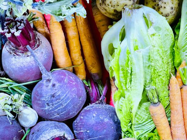 istock Garden vegetables  - stock photo 1334181403