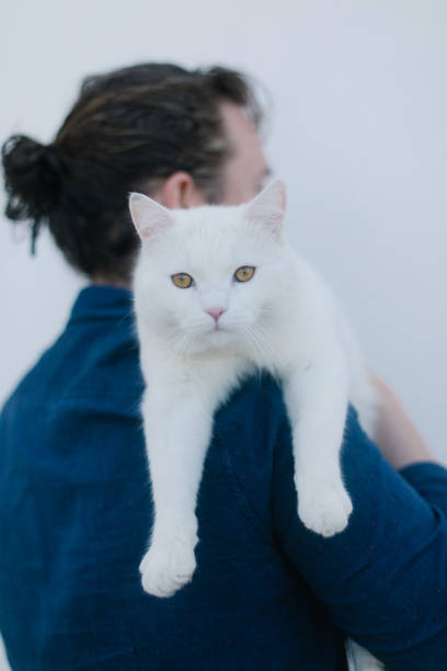 istock Young man holds white cat, as it looks at the camera 1334195614