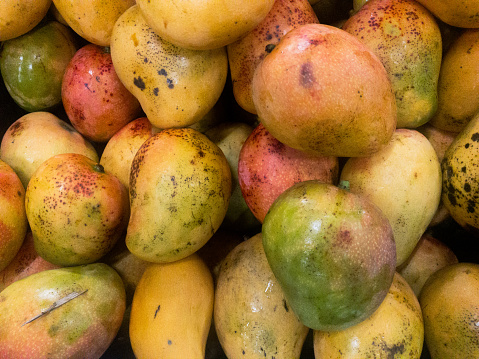 Mango background.  Mangoes in the supermarket. Tropical fruit