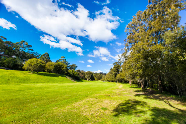 Green cultivated grassy lawn on banks of Lane Cove river - walking track along backyards of residential houses in public park.