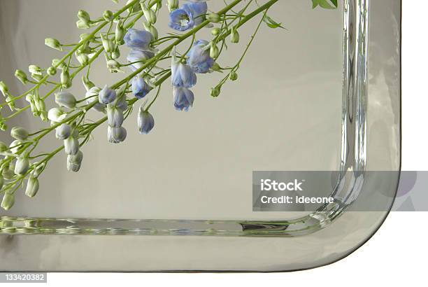 Silver Eleganz Stockfoto und mehr Bilder von Biegung - Biegung, Blume, Blume aus gemäßigter Klimazone