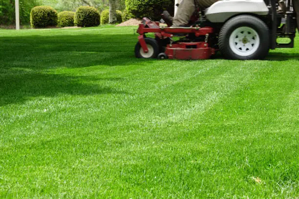 Photo of Ride on Mowing