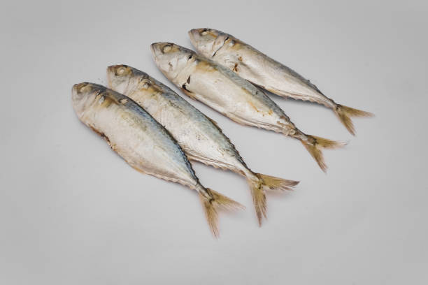 istock Four pindang fish on a white background 1334217380