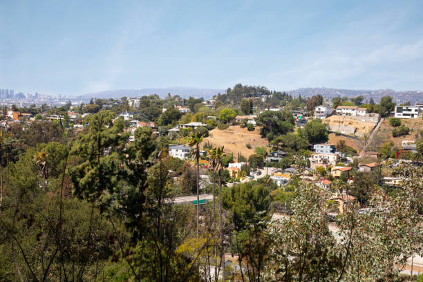 istock Silver Lake neighborhood rooftops 1334221565