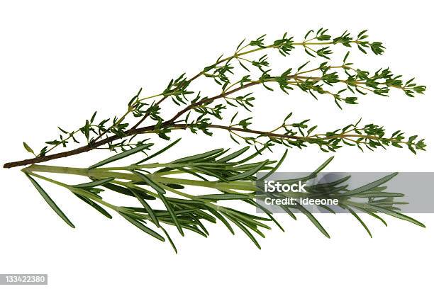 Świeże Herb - zdjęcia stockowe i więcej obrazów Macierzanka tymianek - Macierzanka tymianek, Rozmaryn, Białe tło