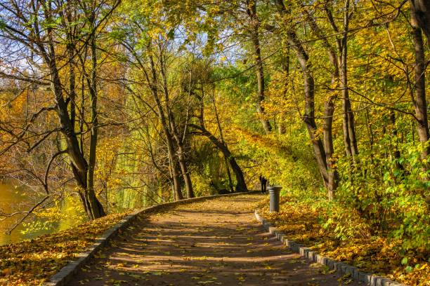 istock Sofiyivsky arboretum on a sunny autumn day. Uman, Ukraine 1334224331