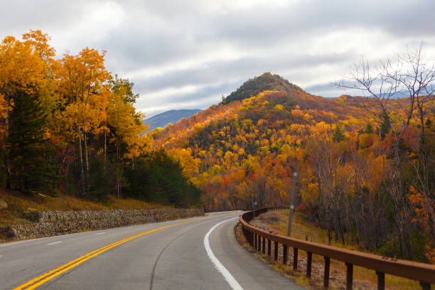 istock Winding Road Through Autumn Trees with Fall Colors in New England 1334224332