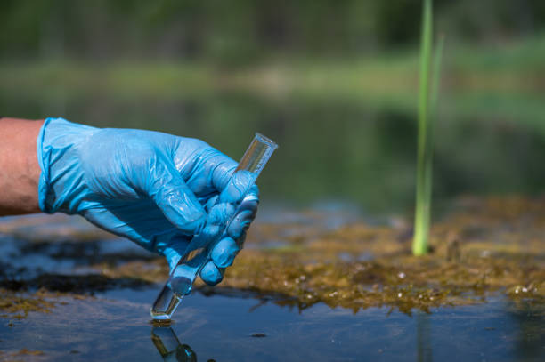 la mano di un operaio in un guanto contiene una provetta con un campione d'acqua in primo piano sullo sfondo di un paesaggio naturale. - environmental conservation chemistry laboratory biomedicine foto e immagini stock