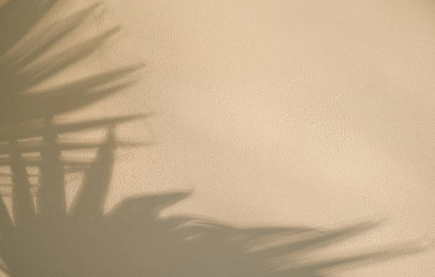 istock Beige wall with abstract shadow from palm leaves. Background design or minimalistic summer wallpaper idea, flat lay, creative copy space 1334226888