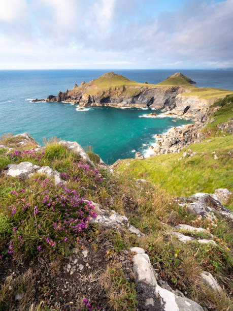 istock Looking along the coast towards The Rumps on the north Cornwall coast 1334228845