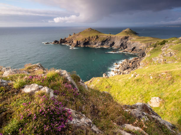 istock Looking along the coast towards The Rumps with storm clouds in the background 1334228871