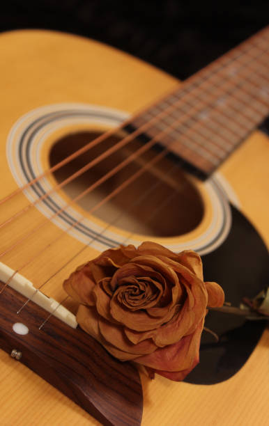 istock Classic Acoustic Guitar With Dried Rose on Guitar 1334229097