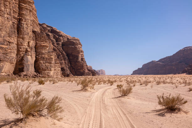 istock Landscape in Wadi Rum desert, Jordan. Mountain canyon 1334234157