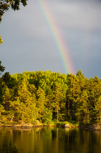 Rainbow over the forest on island in Stockholm Archipelago. The forest mirrors in the calm water. There are around 25000 islands in Stockholm archipelago