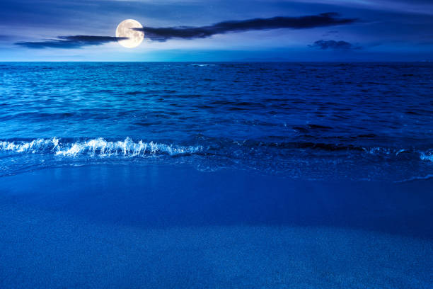 istock calm morning scenery at the sea 1334235241