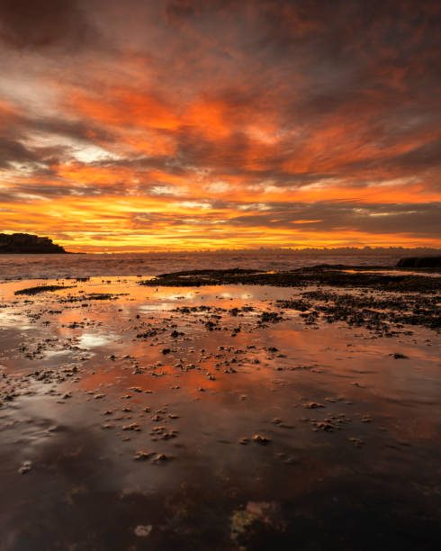 istock Sunrise by the sea 1334235840