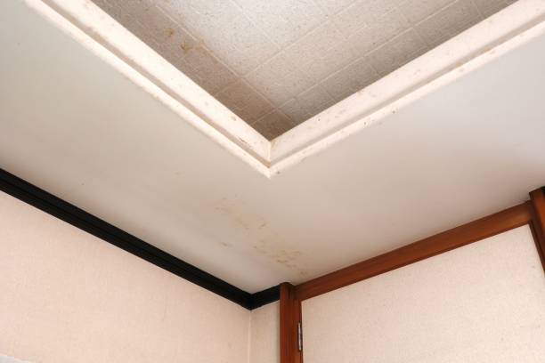 istock PVC wallpaper brown stains 1334236007