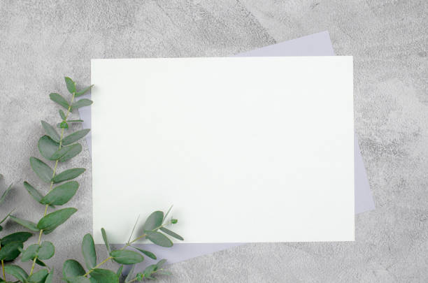 istock Blank sheet of paper on a concrete background with eucalyptus. 1334236279
