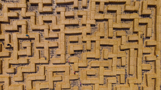 Straw maze, hay maze. Aerial. Top view from drone.