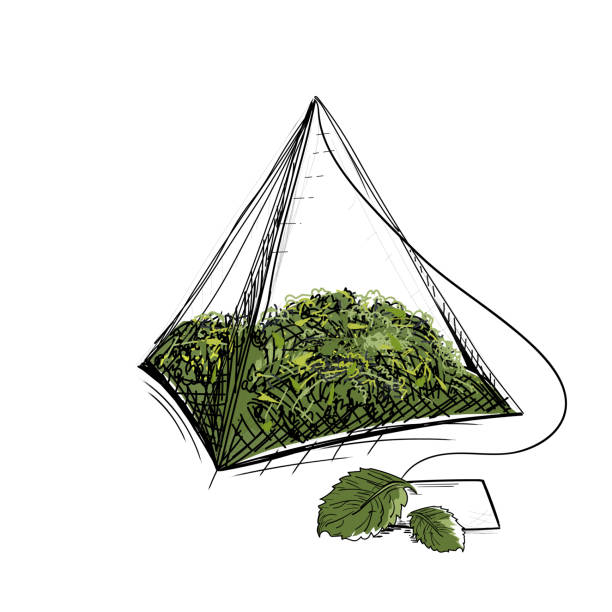 green teabag w stylu graficznym. - green tea tea teabag green stock illustrations