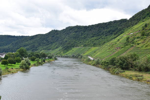 istock calm Mosel near Bruttig 1334239459