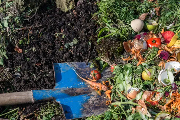 Photo of Compost box outdoors full with garden browns and greens and food  wastes, blue shovel in the soil