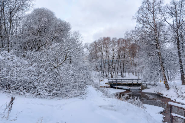 istock City park after heavy snowfall at night. 1334244868