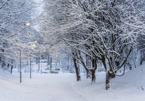 istock City streets and park after heavy snowfall at night. 1334244874