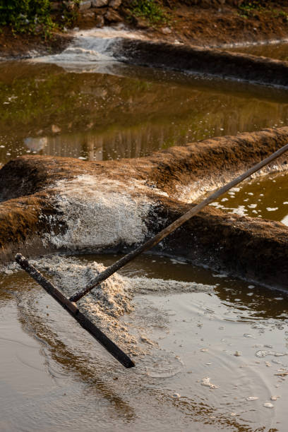 istock Heaps of Salt structure and salt being processed in a salt pan in Goa, India 1334245715