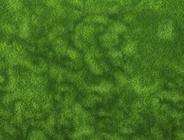 istock Abstract grass field or fluffy rug, top view. 3d illustration 1334246039
