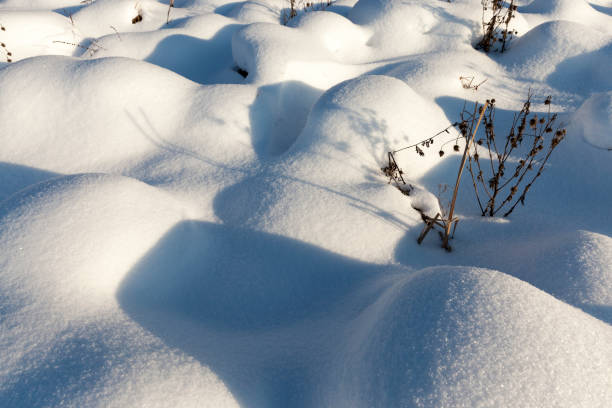 istock snow in winter frozen and cold, nature after snowfall 1334246065