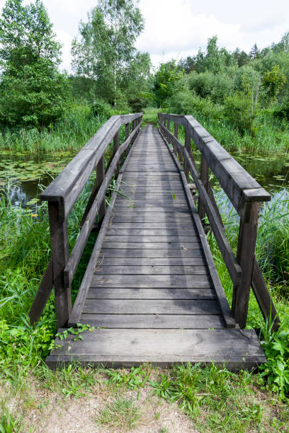 istock old wooden bridge built on the lake 1334246078