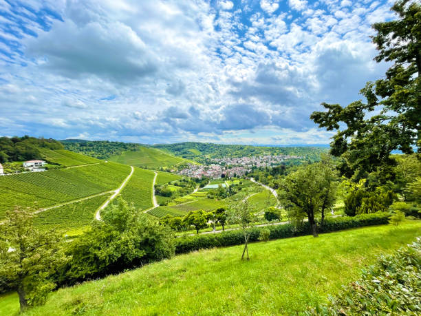 istock Uhlbach, village inmidst vineyards near Stuttgart 1334248518