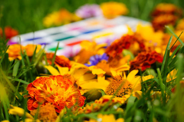 Selective focus on red and yellow flowers, blurred opened watercolor paints on a background of green grass and flowers yellow, red on the grass. Drawing learning concept. High quality photo