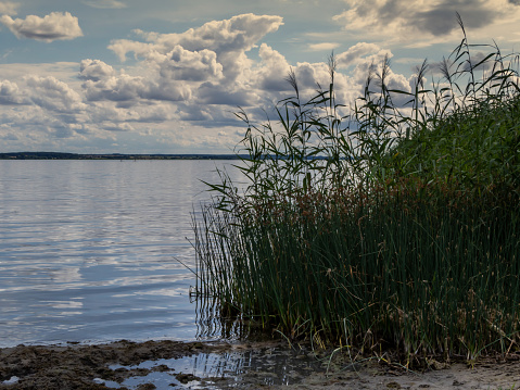 View of Kummerower Lake, near Verchen, Mecklenburg Vorpommern with reeds in the foreground and beautiful cloudy sky.