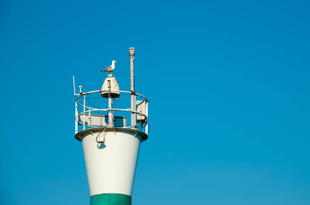 istock A seagull standing on a lighthouse with blue sky background. Navigation, route or direction 1334253804