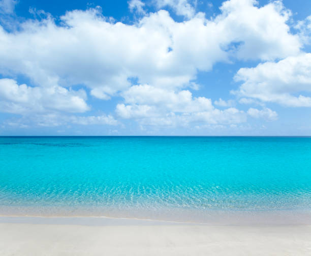 istock beach tropical with white sand and turquoise wate 1334255958