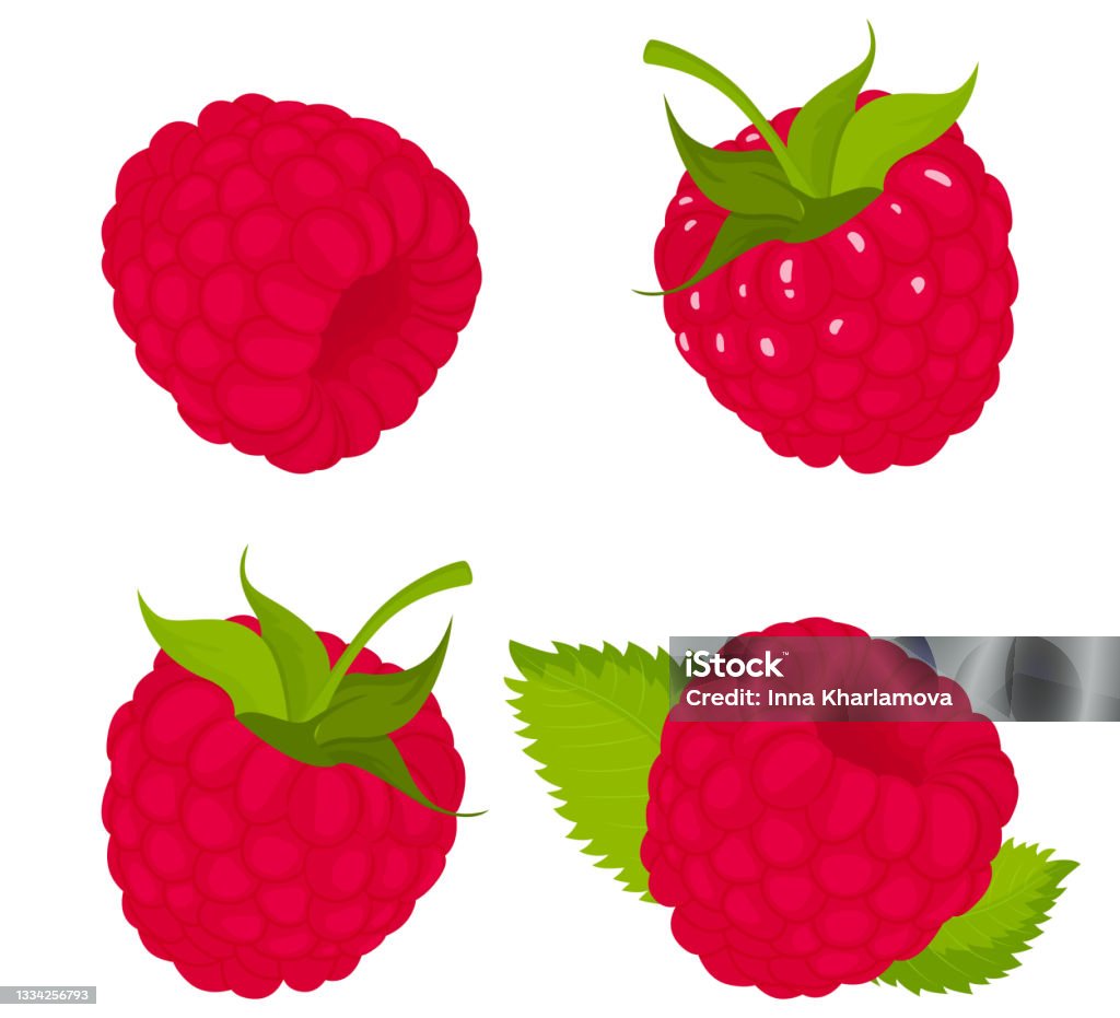 Ilustrasi Raspberry Pi Raspberry Terisolasi Di Bacground Putih Set Vektor Raspberry Utuh Dan ...