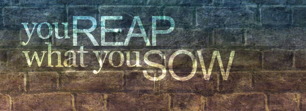 You reap what you sow message banner blue brown rustic brick wall with stencilled words saying you REAP what you SOW and copy space kurma stock pictures, royalty-free photos & images