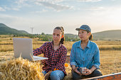 Two female farmers sitting on tractor trailer on haystacks and working on laptop together