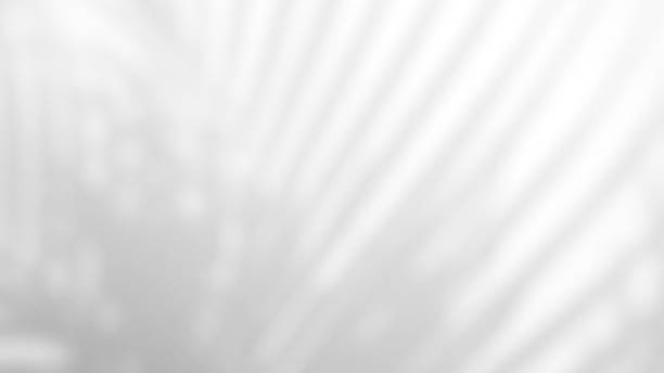 istock Leaves natural shadow overlay on white texture background, for overlay on product presentation, backdrop and mockup, summer seasonal concept 1334263471