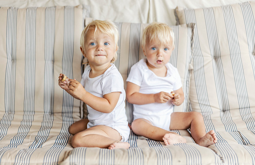 Two innocent babies are enjoying cookies. Portrait of twins with blue eyes and blonde hair eating biscuits on a sofa in the living room. Funny picture of a baby, identical kids eating sweets together