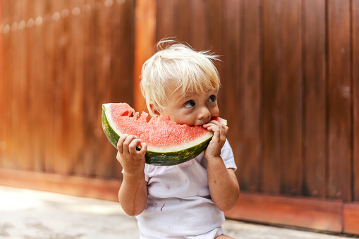 Baby eats watermelon. Toddler is sitting in the yard and eating a slice of watermelon. Child with blond hair and big blue eyes looks from the side and bites a watermelon. Growing up in the countryside
