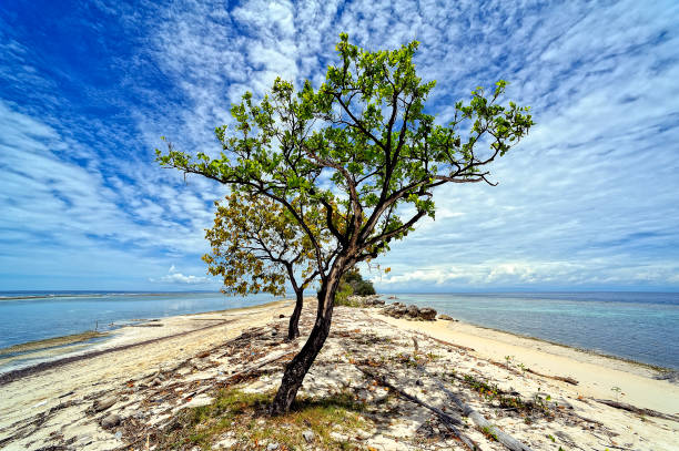 istock A beautiful place to spend a relaxing holiday 1334266300